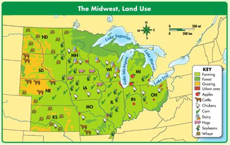 The Midwest produces corn, wheat, and soybeans. . What are 5 natural resources in the midwest region